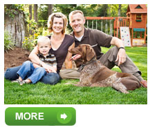 great-home-loans